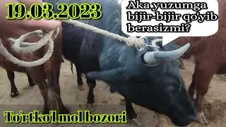 Yangi To'rtko'l | To'rtko'l mol bozori narxlari 19.03.2023 #molbozori