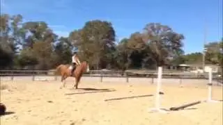 Oliver 3'6