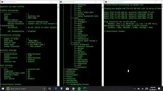 How to hack on cmd and find wifi password EASY