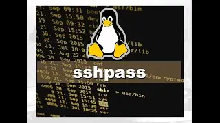 Comandos Essenciais para Administração de Servidores Linux: sshpass