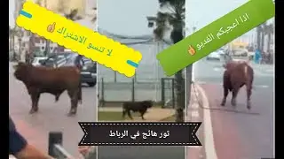 تور الرباط اليوم الجزء 2