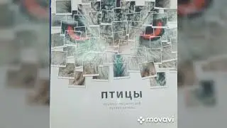 Видеопрезентация Крылатые соседи,  пернатые друзья