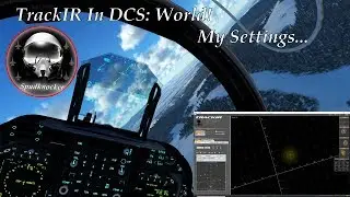 Tips and Tricks for Using TrackIR in DCS: World 2.5!