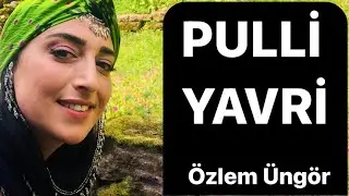 Özlem Üngör - Pulli Yavri