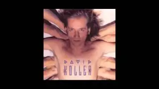 David Koller - V erbu krysy
