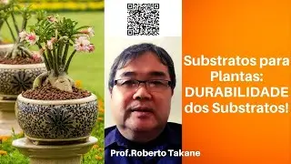 Substratos para Plantas:DURABILIDADE dos Substratos! #robertotakane #livrosubstratotecnico