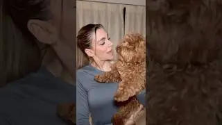 Yo cada vez que baño a mi perro! 