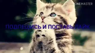 Бешеная бабка в маршрутке🤣😂
