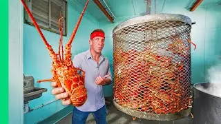 I Ate Every Seafood Caught in the USA!!