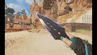 Wraith heirloom showcase with 16 different skins