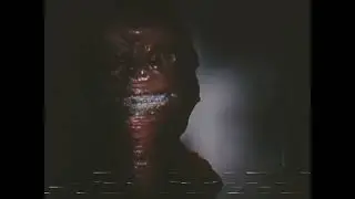 P4rtY_g0eR.mp4 | The Backrooms VHS | NoClip The Game (VIEWER DESCRETION IS ADVISED)