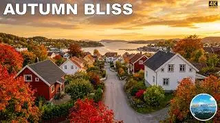 Autumn Bliss: A Scenic Stroll Through Leirvik 🍂 4k walk