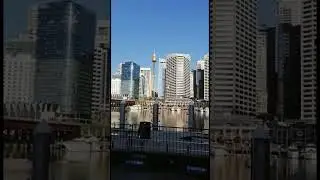 Башня Сидней Тауэр. Sydney Tower #shorts