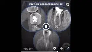 Radiologia Morita qualità senza eguali