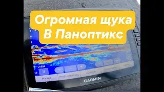 Метровая Щука и Panoptix: Уникальный Опыт на Льду