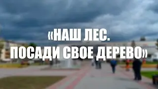 НАШ ЛЕС. ПОСАДИ СВОЁ ДЕРЕВО.