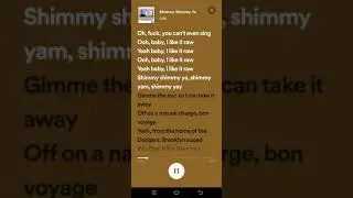 Shimmy Shimmy Ya lyrics - ODB