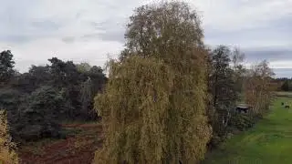 Drohnenflug