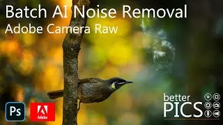 Batch AI Denoise Adobe Camera Raw | 