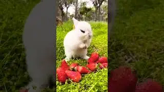 Доброе утро☀