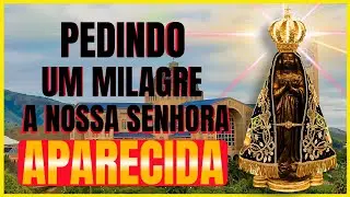 Oração pedindo um Milagre a Nossa Senhora Aparecida
