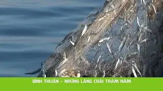 BÌNH THUẬN - NHỮNG LÀNG CHÀI TRĂM NĂM | Nhà Hai Lúa