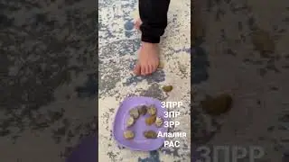 Сенсо моторлы жұмыс жоспары. Баланы түзете-дамыту😍👍
