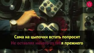 Дельфин   Любовь