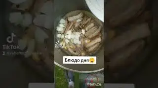 20 июля 2024 г.