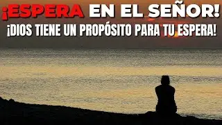 🚨🙏💖¡Espera en el Señor! ¡Dios tiene un propósito para tu espera!