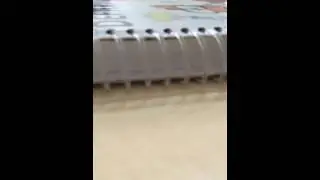 İfşa 