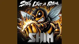 Sting like a bitch (Radio Edit)
