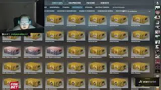 Хелин открывает кейсы, играет в CS 2, Fortnite, PUBG + Аукцион на игру | стрим 20.01.24