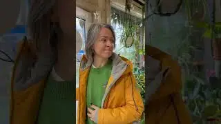 А вы как из цветочных магазинов выходите? 😂