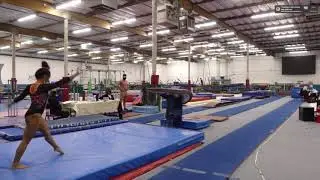 Intrasquad 2020 2021 vault