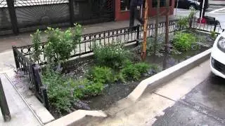 NYC Green Infrastructure