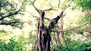 Trip to Okinawa, Japan