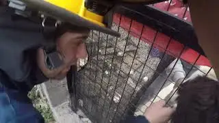 SALVAMENTO DE ANIMAL - Perro en una reja - Gopro - 2022 - BVL