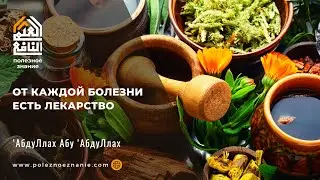 От каждой болезни есть лекарство