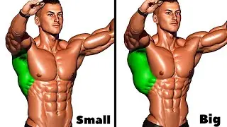 Big Back Workout at Gym Full Step by Step for Growth