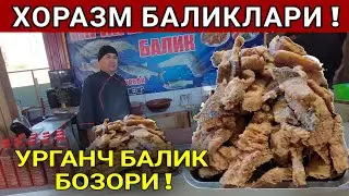 ХОРАЗМ БАЛИКЛАРИ УРГАНЧ БАЛИК БОЗОРИ БАЛИК КОВУРИШ СИРЛАРИ МАХСУС ХОРАЗМ БОЗОР.
