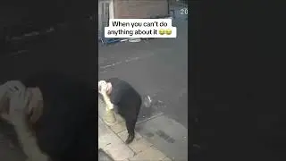 Bro was just minding his business 😭 #shortsviral #funnymemes #funny #viral #shorts #memes #meme