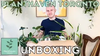 HUGE Plant Unboxing From Planthaven Toronto