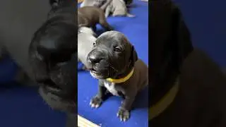 Видео уже загружаю🤗 
