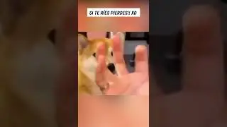 Si te RÍES PIERDES!! 🔥😹 #9 