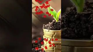 с днем рождения Андрей