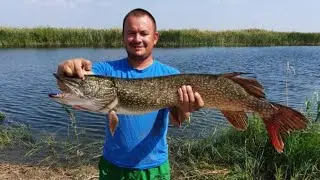 Такой щуки я ещё не ловил.