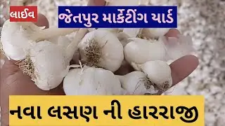 નવા લસણ ની હારરાજી લાઈવ જેતપુર માર્કેટીંગ યાર્ડ તા 19.05.2023 / Live nava lasan ni harraji Jetpur