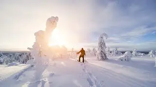 -17°c Snowshoe hike | Lapland | Finland | Levi Lapland