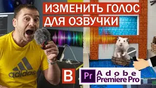 🎤 Как Изменить Голос в Premiere Pro Для Озвучки Анимационных  персонажей / Как настроить свои голос